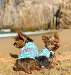 Parisian Pet 'Flamingos' Dog Shirt – Lightweight & Breathable Summer Outfit for Small Dogs & Cats, Light Blue and White Stripes